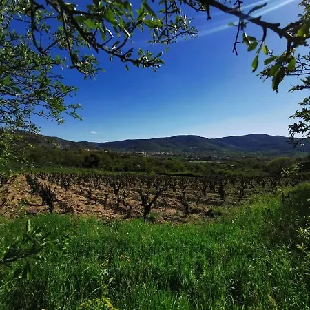 A Casa Di Anna Bed & Breakfast 3*