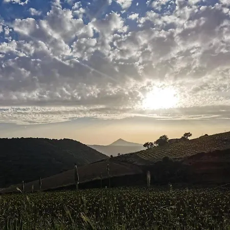 Bed & Breakfast A Casa Di Anna Mamoiada