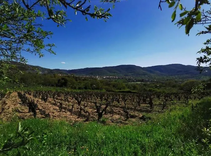 A Casa Di Anna Bed & Breakfast 3*