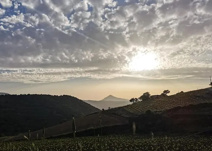 Bed & Breakfast A Casa Di Anna Mamoiada